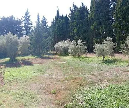 Alpilles & Piscine - Oliveraie Bio Mas De Cargane Holiday home Entressen
